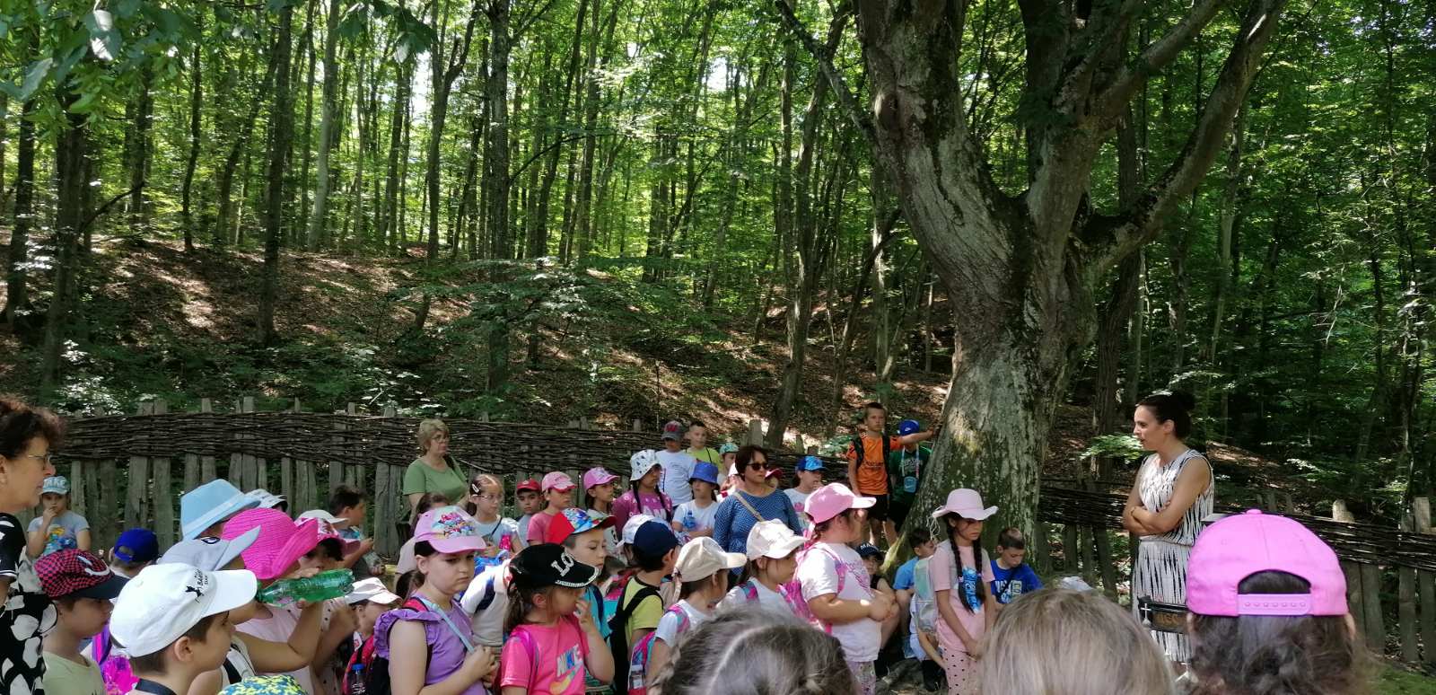 viber image 2025 06 11 15 41 55 555